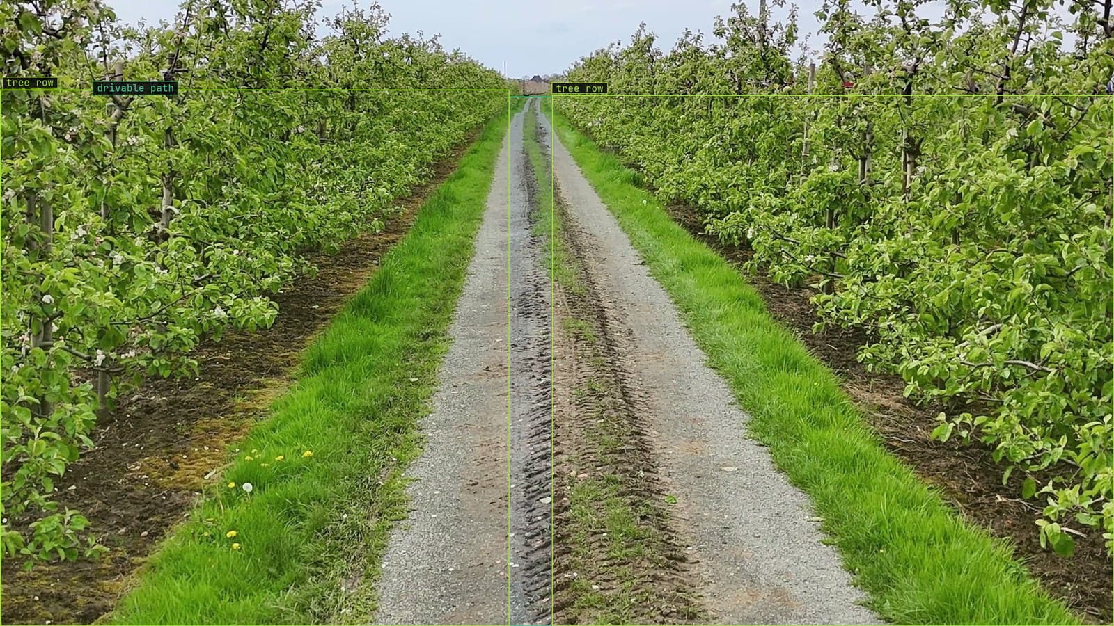 Orchard lane with the drivable path and tree rows boxed, from a customer tractor camera