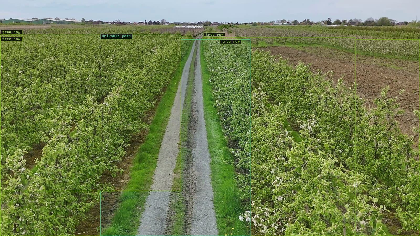 Orchard edge from a customer tractor camera, tree rows and the drivable path boxed