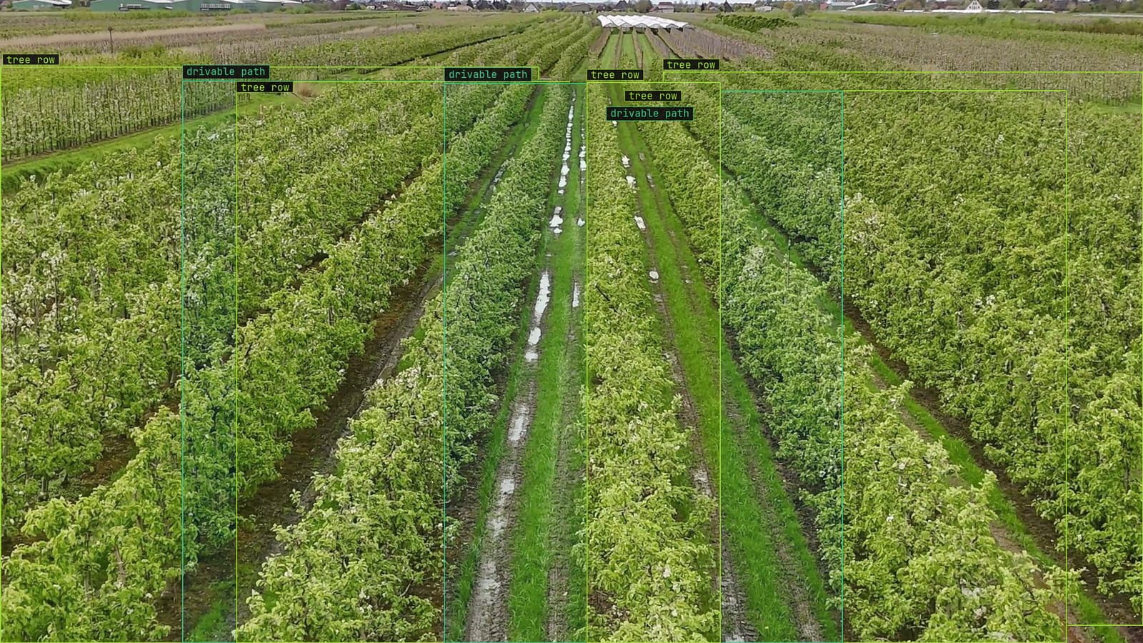 Orchard tree rows and drivable paths, from a customer tractor camera