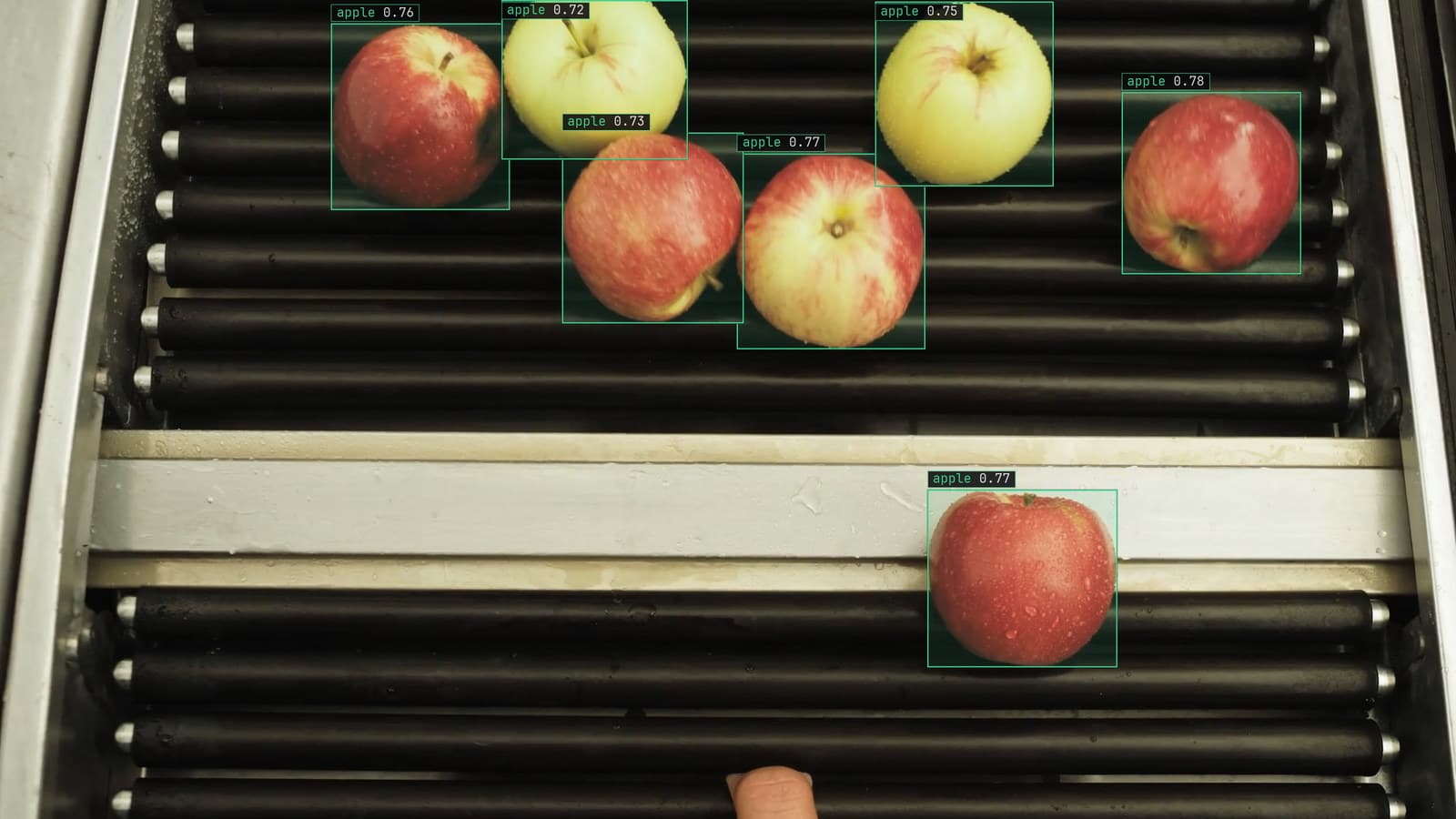 Produce packhouse, apples on a grading conveyor, generated scene with detections from our model