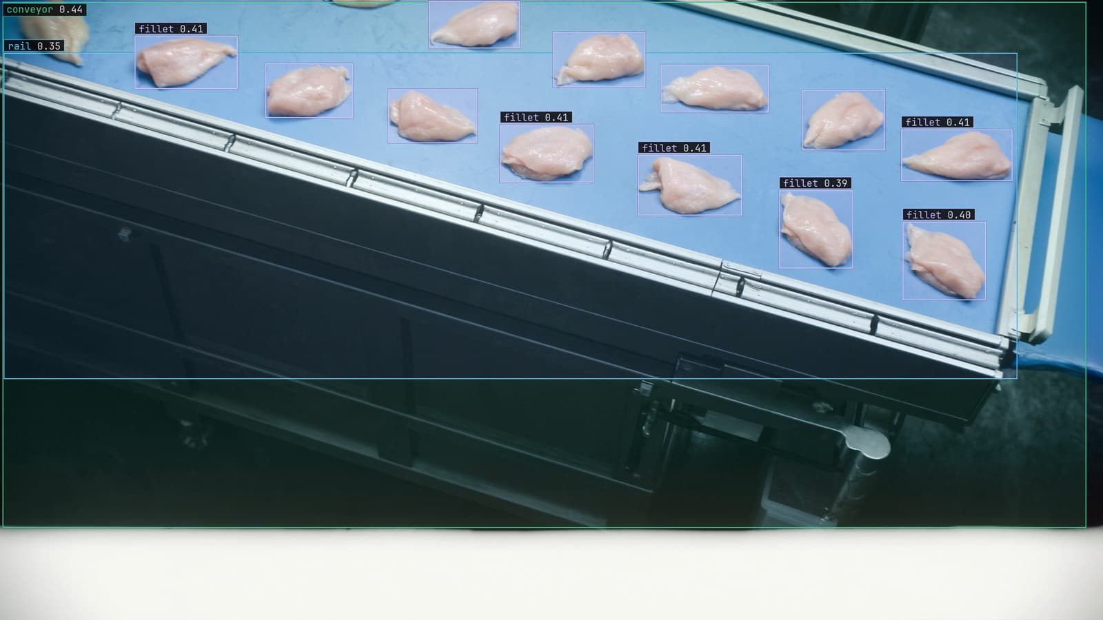 Food processing line, fillets on a blue conveyor, generated scene with detections from our model